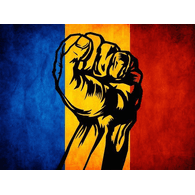 DRYNS emblem