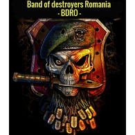 RO-LG emblem