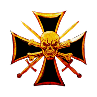 1-DHS emblem