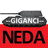 NEDA emblem