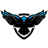 AAFD emblem
