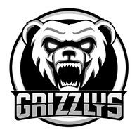 -GZS- emblem