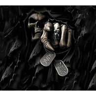 LFL1 emblem