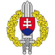 STTU1 emblem