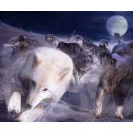 WOLF0 emblem