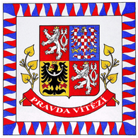 101-T emblem