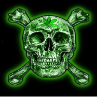 RD9 emblem