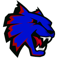 C_4_T emblem