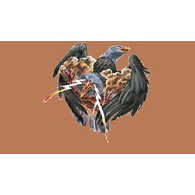 TB_S_ emblem