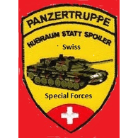 SSF emblem