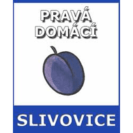 SLIVA emblem