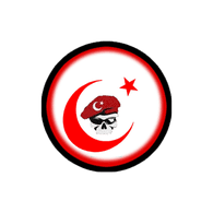 TR34 emblem