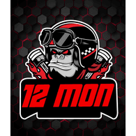12MO1 emblem