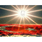 SENGL emblem