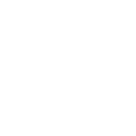 DEV-I emblem