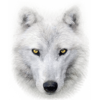 BG-WW emblem