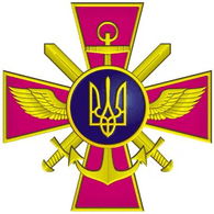 Y3C emblem