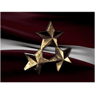 LAT_ emblem
