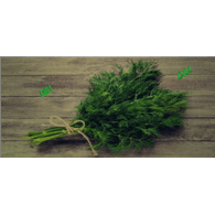 -DILL emblem