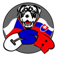 C_S_R emblem