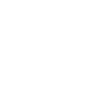 TR3N emblem