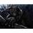WHITS emblem