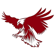 X300X emblem