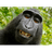 -APES emblem