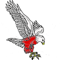 _D-K emblem