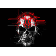 NGSSO emblem
