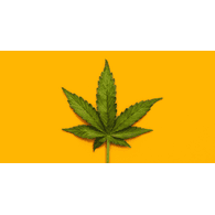 _WEED emblem