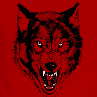 _NWO emblem