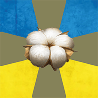 BVV emblem