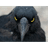 LT_V emblem