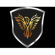 VI_VA emblem