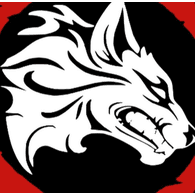 CO6P emblem