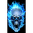 A22 emblem