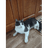 KYSDD emblem
