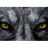 -DBNW emblem