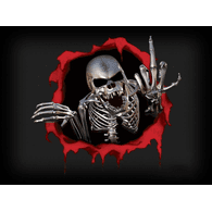 MAX9 emblem