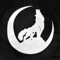 SLTNZ emblem