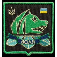 VOLEN emblem