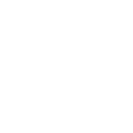 229 emblem