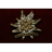 E_D_L emblem
