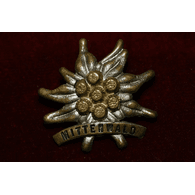 E_D_L emblem