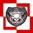 STIT emblem
