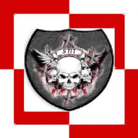 STIT emblem