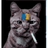SY_CS emblem
