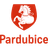 P_CE emblem