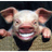 PIGZ- emblem